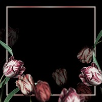 Tulip border frame psd on black background