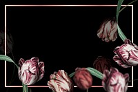 Tulip border frame psd on black background