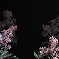 Lilac border psd dramatic flower background