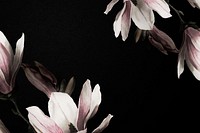 Magnolia border psd dramatic flower background