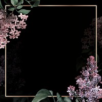 Gold frame psd with lilac border on black background