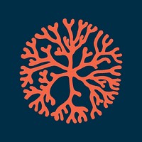 Branding icon psd illustration of Coral