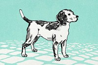 Cute beagle dog vector vintage illustration on green tile ground
