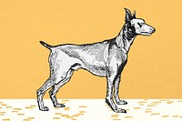 Cute greyhound dog psd vintage illustration on yellow background