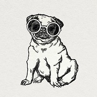 Vintage pug dog psd sticker with cute sunglasses