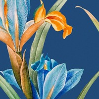 Colorful floral background psd with iris illustration, remixed from public domain artworks