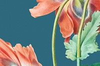 Spring floral background psd with poppy flower illustration, remixed from public domain artworks