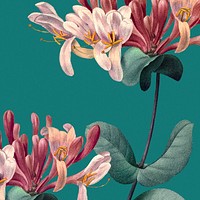 Colorful floral background psd with honeysuckle illustration, remixed from public domain artworks