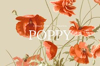 Floral web banner template vector with poppy background, remixed from public domain artworks