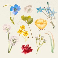 Vintage summer flower name vector illustration set, remixed from public domain artworks