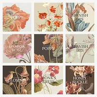 Vintage floral template vector illustration set, remixed from public domain artworks