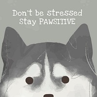 Siberian Husky template vector cute dog quote social media post, don&#39;t be stressed stay pawsitive