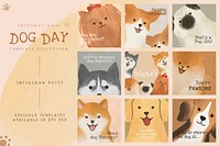 International dog day template vector social media post set