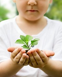 Boy holding plant psd closeup shot for environment campaign