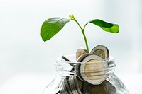 Green economy jar psd with money and growing plant