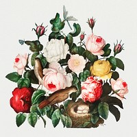 Vintage roses illustration