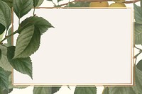 Gold frame on brian&ccedil;on apricot background vector