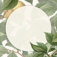Frame on brian&ccedil;on apricot background vector
