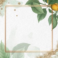 Gold frame on brian&ccedil;on apricot background vector