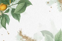 Brian&ccedil;on apricot leaf pattern background vector