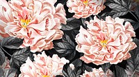 Floral blooming peony wallpaper vector