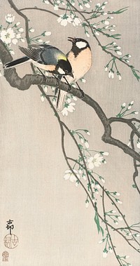 Tits on Cherry Branch (1900&ndash;1910) by <a href="https://www.rawpixel.com/search/Ohara%20Koson?sort=curated&amp;page=1">Ohara Koson</a>. Original from The Rijksmuseum. Digitally enhanced by rawpixel.