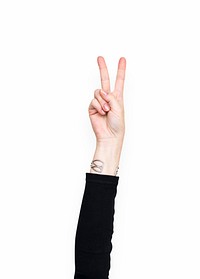 Hand gesturing peace with fingers