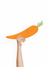 Hand holding a carrot cardboard prop