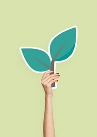 Hands holding plant leaves clipart