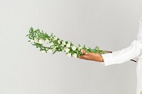 Woman holding a branch of snow willow flower