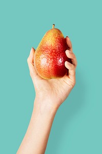 Hand showing a fresh red blush pear with a cyan wall