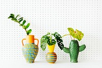 Plants in colorful ethnic vase