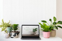 Laptop screen mockup psd on plant parent table home office