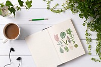 Notebook flat lay in plants with hand drawn illustrations