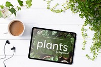 Blank digital tablet screen in houseplants background