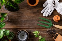 Wooden plant background with the gardening tools for hobby