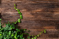 Angel vine plant border in wooden background