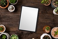 Blank digital tablet screen in houseplants background