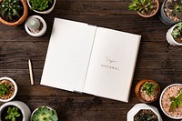 Book mockup psd on wooden table with potted plants flat lay