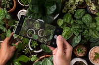 Phone screen mockup psd capturing plants below