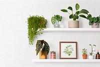 Home decor indoor plant shelf