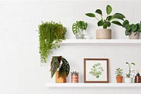 Colorful plant pots mockup psd on white shelf home decor