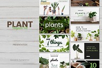 Plant care template vector set