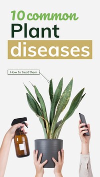 Common plant diseases template vector