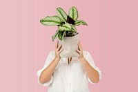 Plant lover mockup psd holding potted calathea