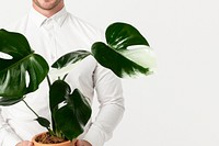 Plant parent mockup psd holding potted monstera