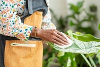 Woman cleaning the leaf of potted plant