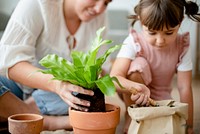 Mom and daughter DIY plant potting at home