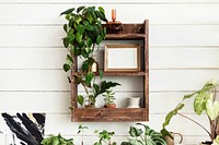 Blank frame on plant shelf home decor ideas