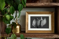 Picture frame mockup psd on wooden shelf with houseplants home decor